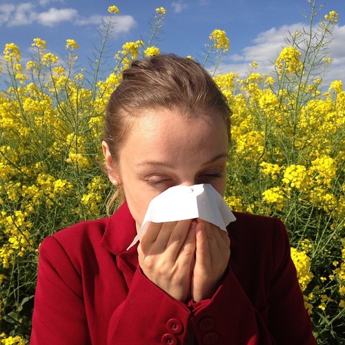 CBD against pollen allergy